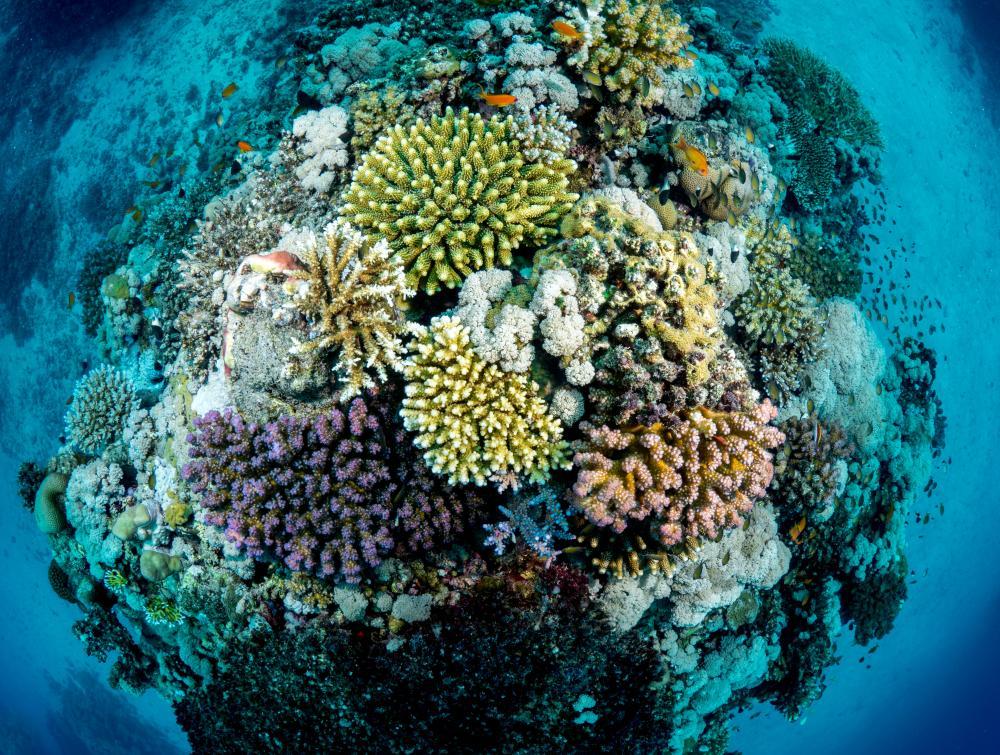 Environmental & Social Baseline Survey